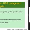 Geriatrik Popülasyonda Olgularla Enfeksiyon Yönetimi Webinar 21 Mart 2024